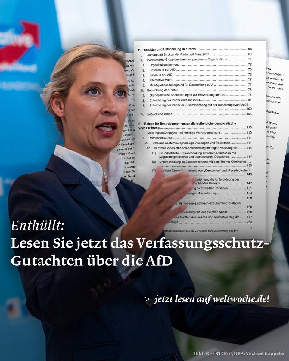 1117-Page German Intelligence Report Leaked, Labels AfD 'Securely Right ...