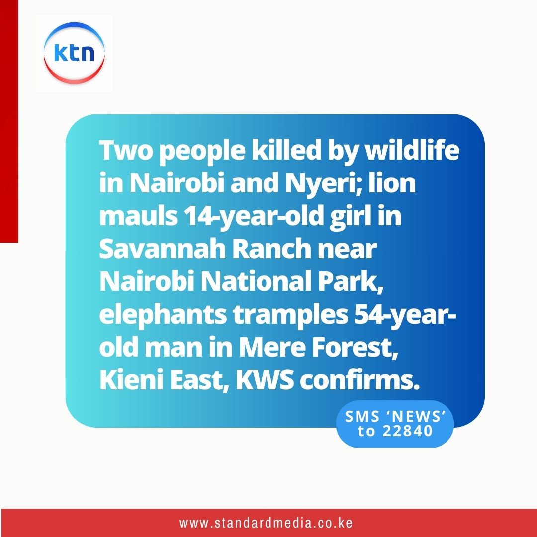 14-Year-Old Girl Mauled by Lion, Man Trampled by Elephant Near Nairobi ...