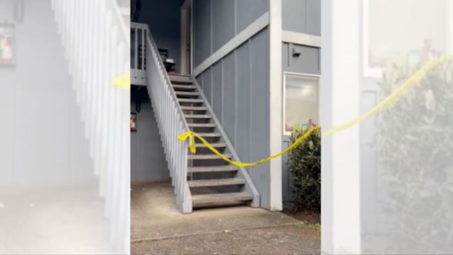 15-Year-Old Pierce County Teen Charged With Second-Degree Murder in ...