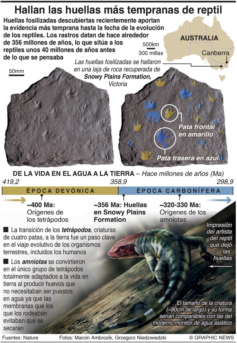 355-Million-Year-Old Fossil Footprints in Australia Push Origin of ...