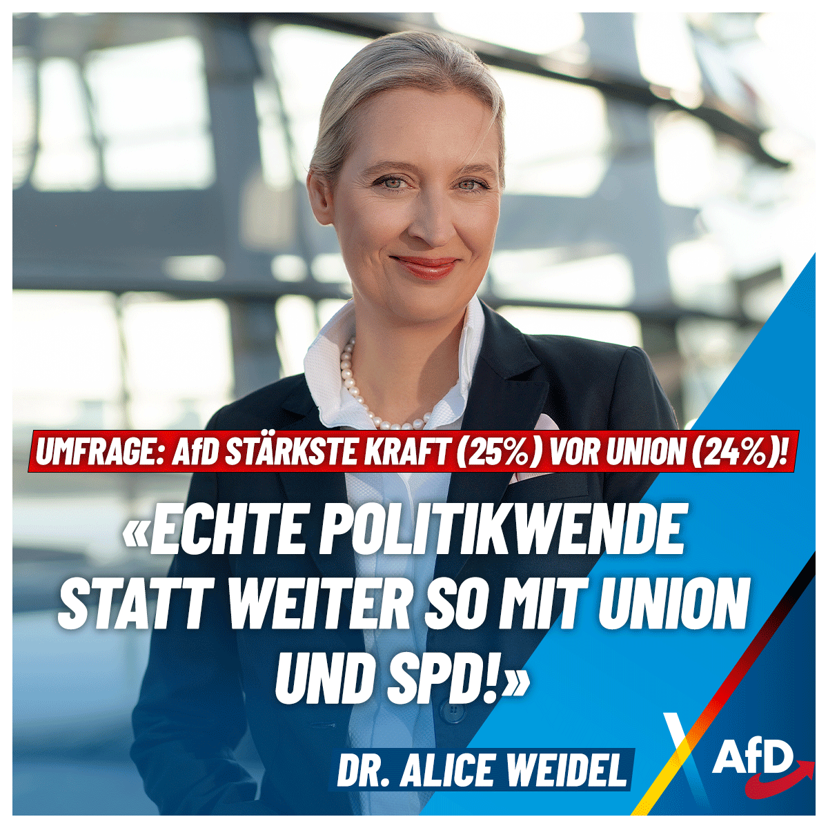 Tehsil Afd AfD Leads Union 25% to 24% in German National Poll, Ipsos Survey Shows ...