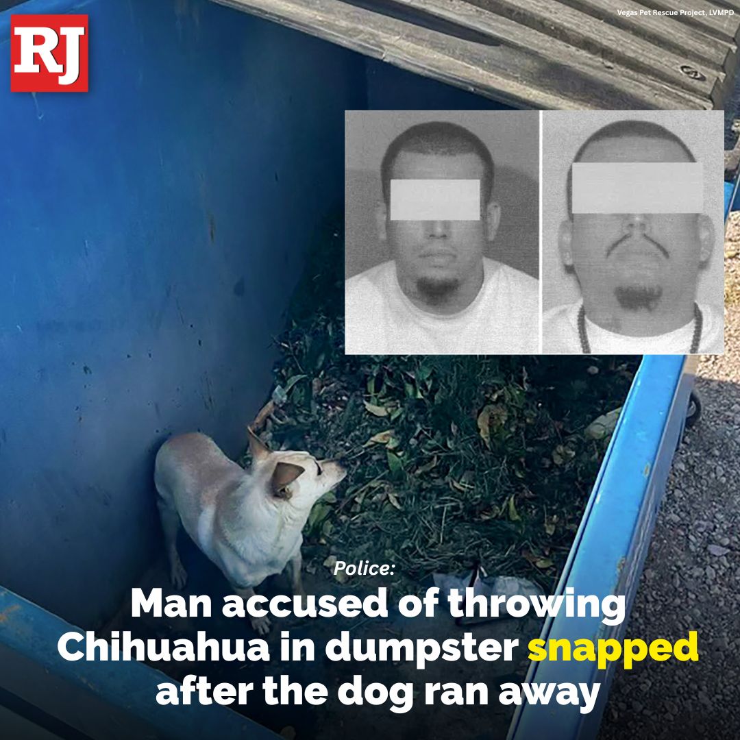 Alexis Flores Charged in Las Vegas Dumpster Dog Abuse; Long Beach ...