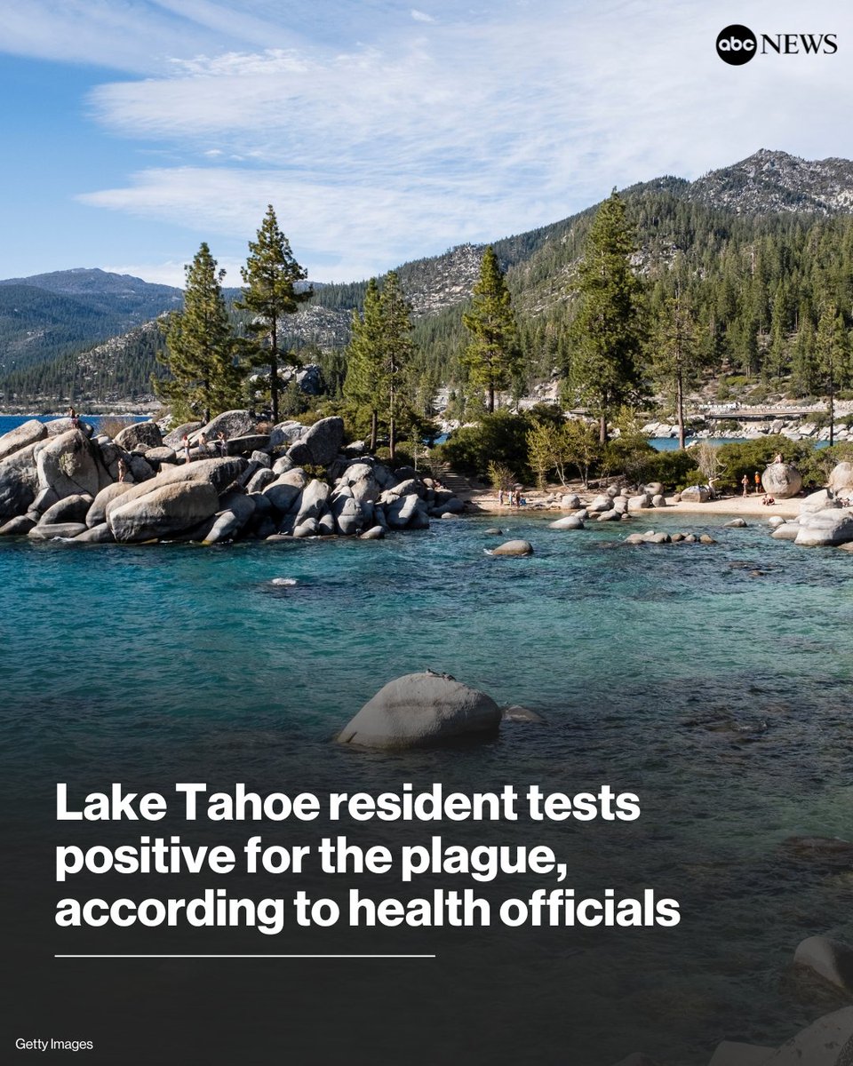 California Resident Tests Positive for Bubonic Plague in South Lake