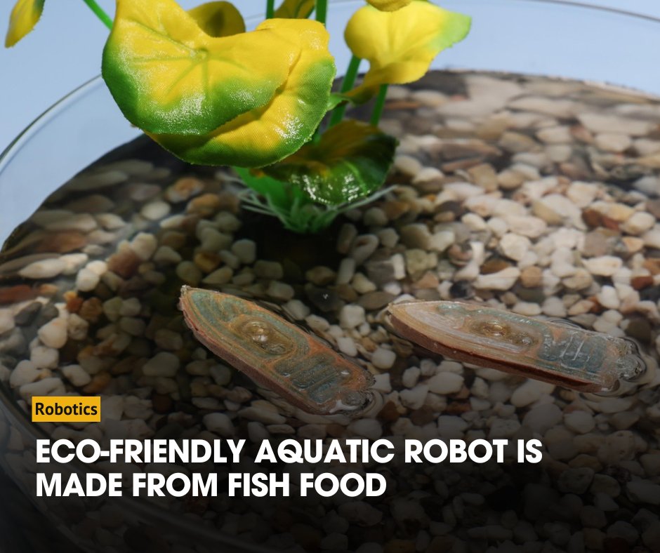 EPFL Develops Edible Robots Including RoboCake with Rechargeable ...