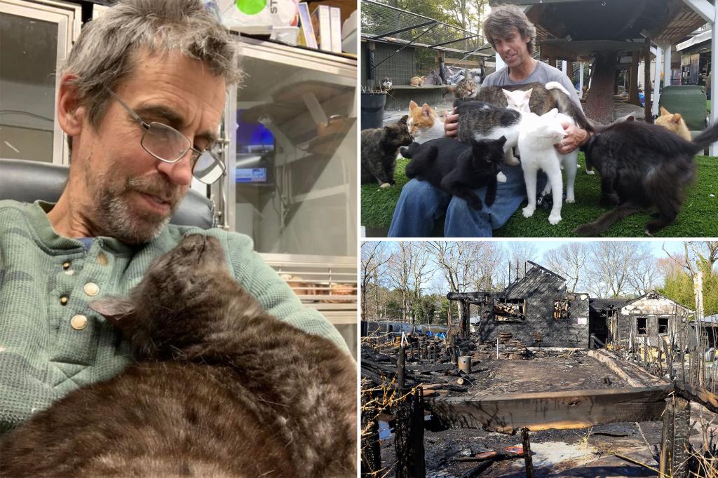 Fire at Happy Cat Sanctuary on April 1, 2025, Kills Founder Christopher ...