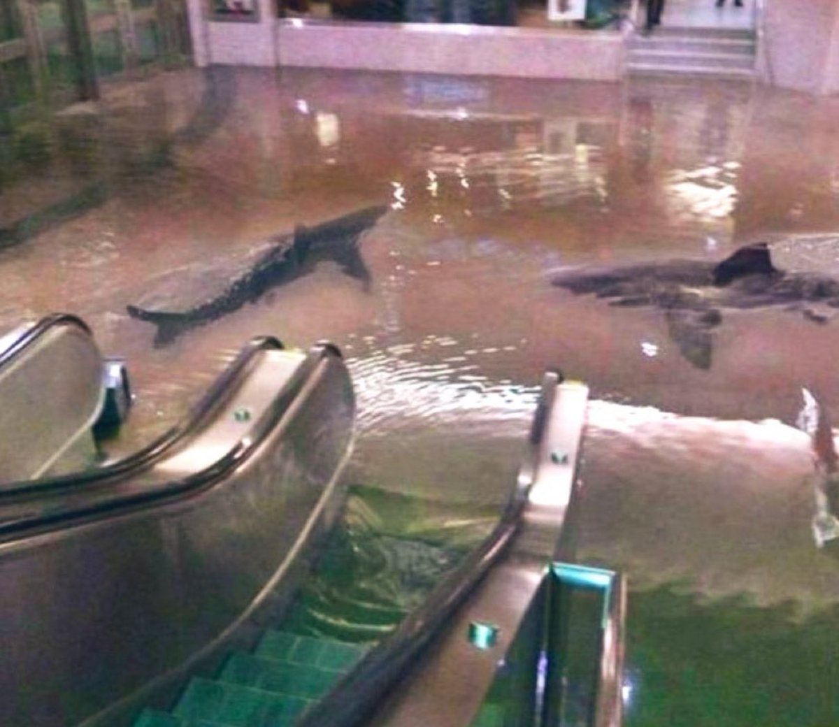 Flash Floods Shut NYC Subway Lines; New Jersey Declares Emergency ...