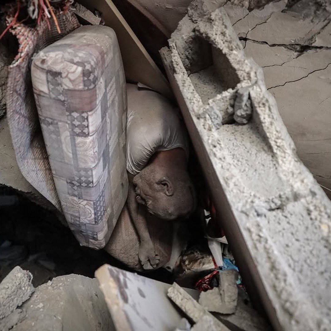 Israeli Strike Levels Gaza Home as Rescuers Barred, Arafat Family ...