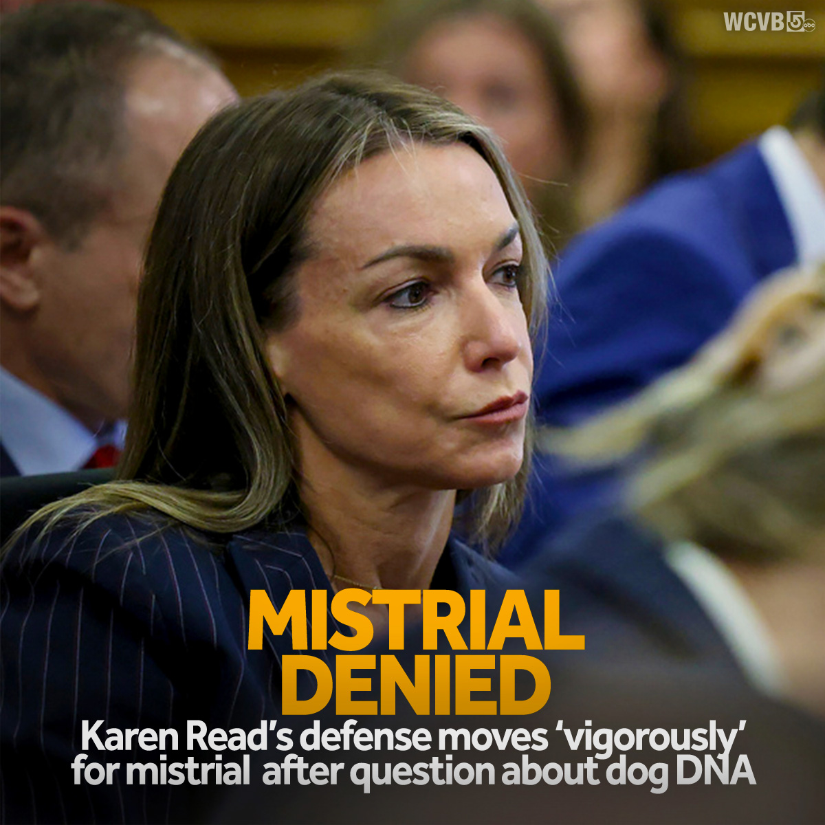 Karen Read Murder Retrial Continues With Dog Bite Expert, Snow Plow ...