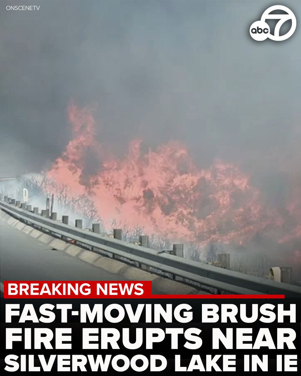 Lake, Wolf, and Madre Fires Burn Over 13,000 Acres in Southern ...