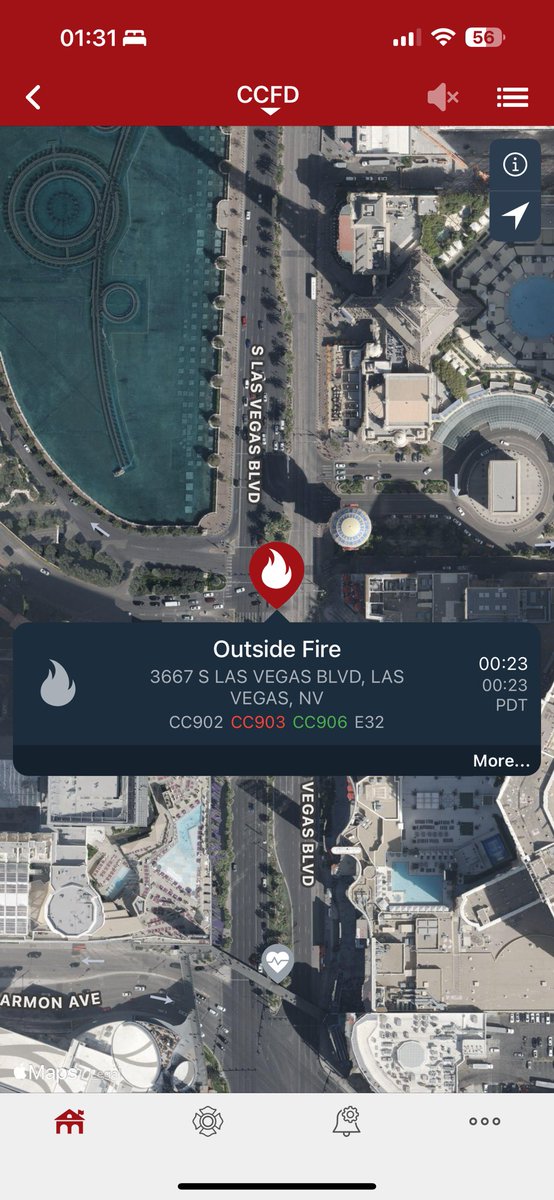 Las Vegas Strip Palm Tree Fire Sparked by Vehicle Fireworks, No ...