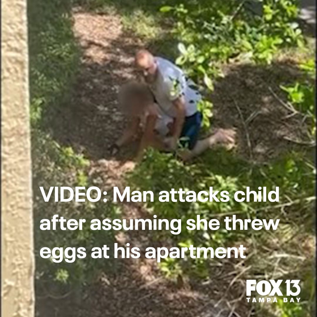 Marius Mutu Arrested in Tampa for Attacking 11-Year-Old Girl at Allison ...