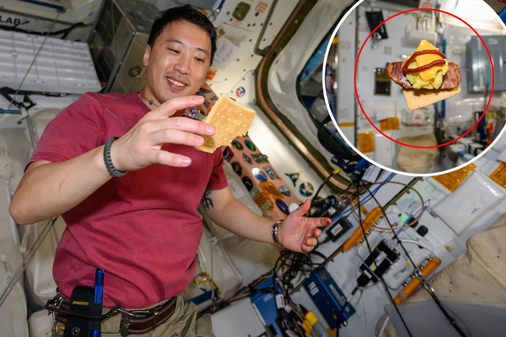 NASA Astronaut Jonny Kim Creates 'Ranger Burger' in Space as SpaceX ...