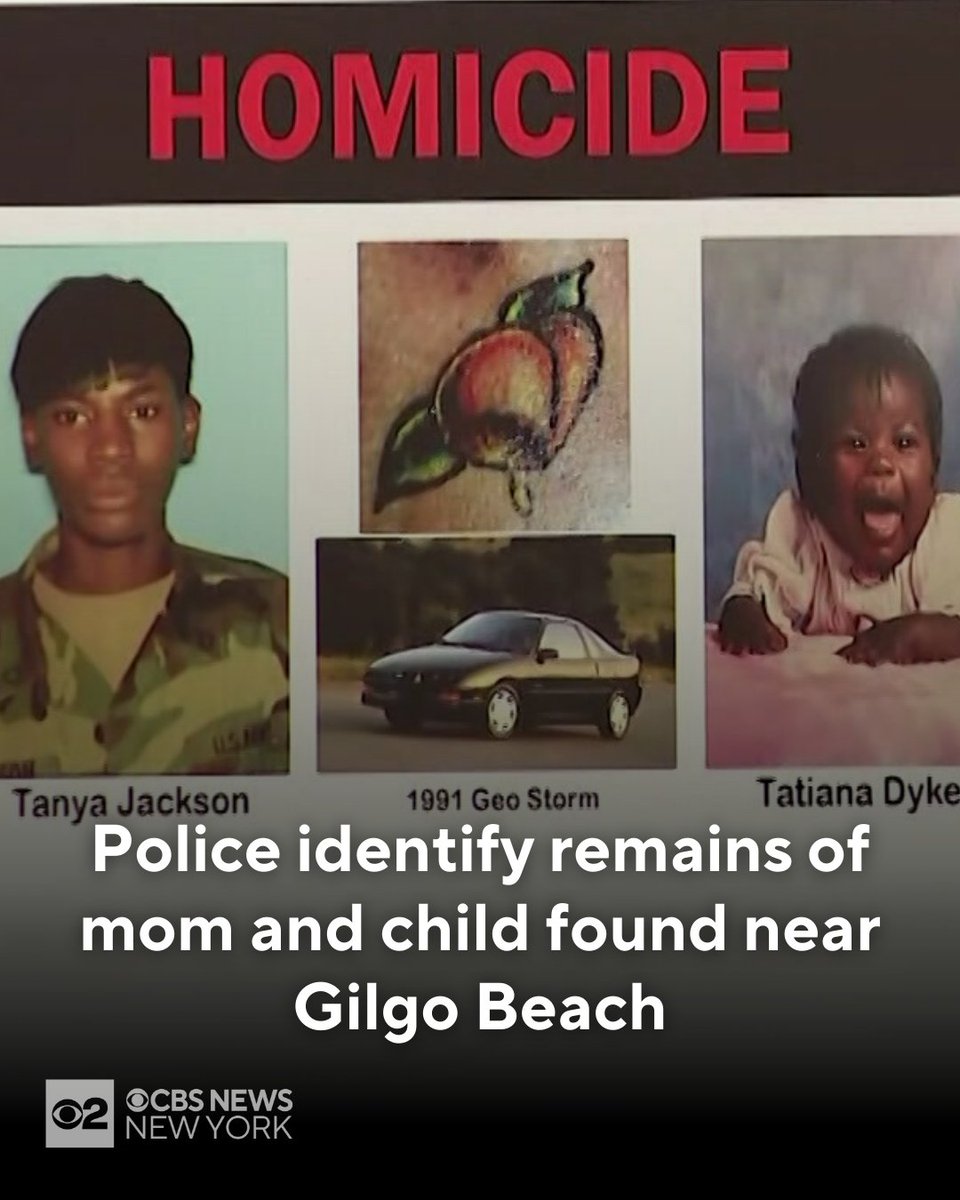 Nassau County Police Identify Gilgo Beach Victims as U.S. Army Veteran