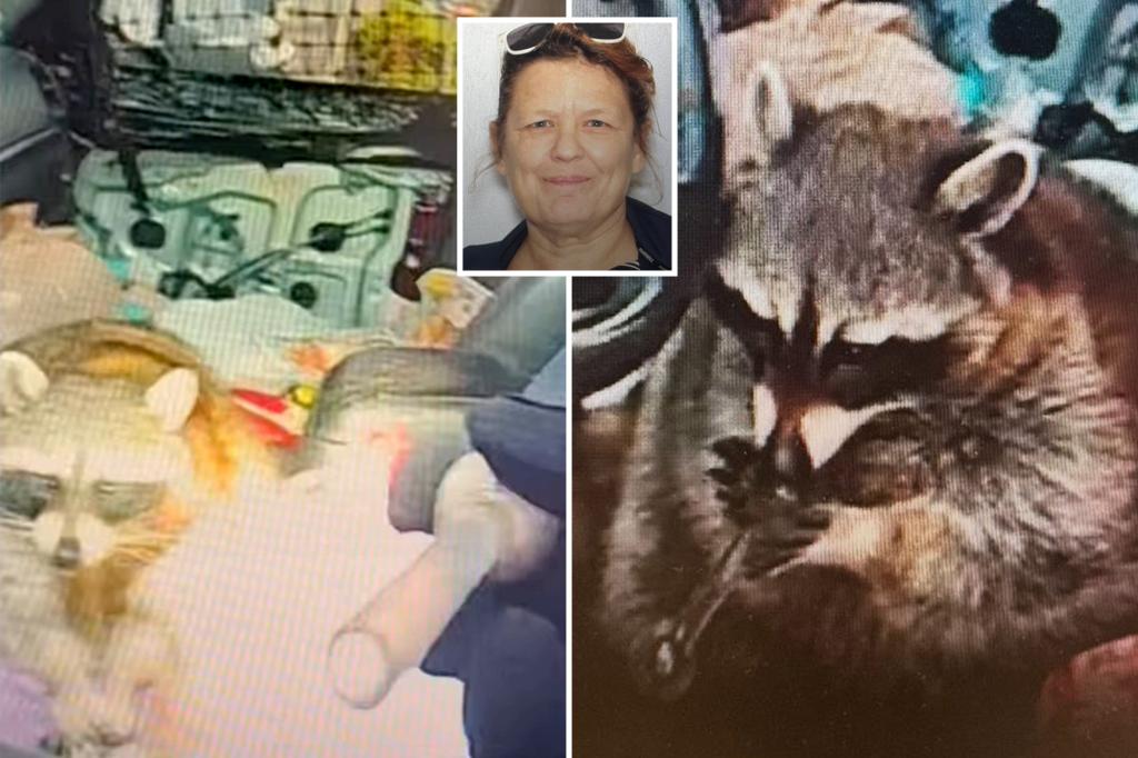 Ohio's Victoria Vidal Arrested in Springfield Township After Pet ...