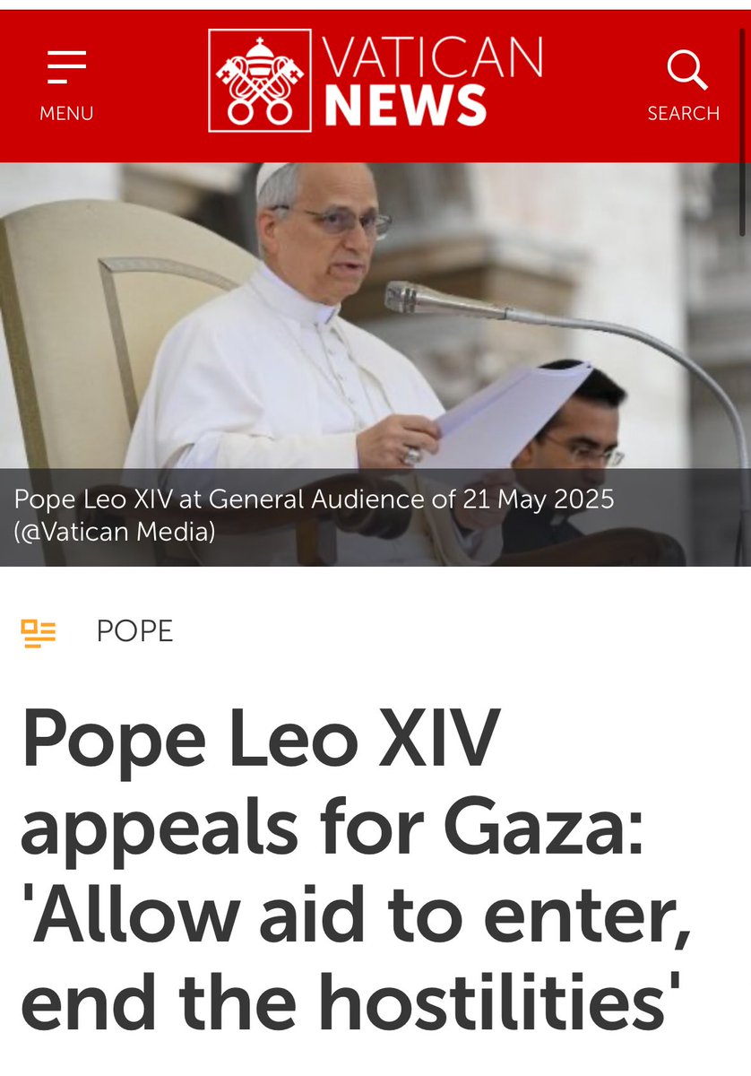 Pope Leo XIV Calls for Aid in Gaza at First General Audience in St ...