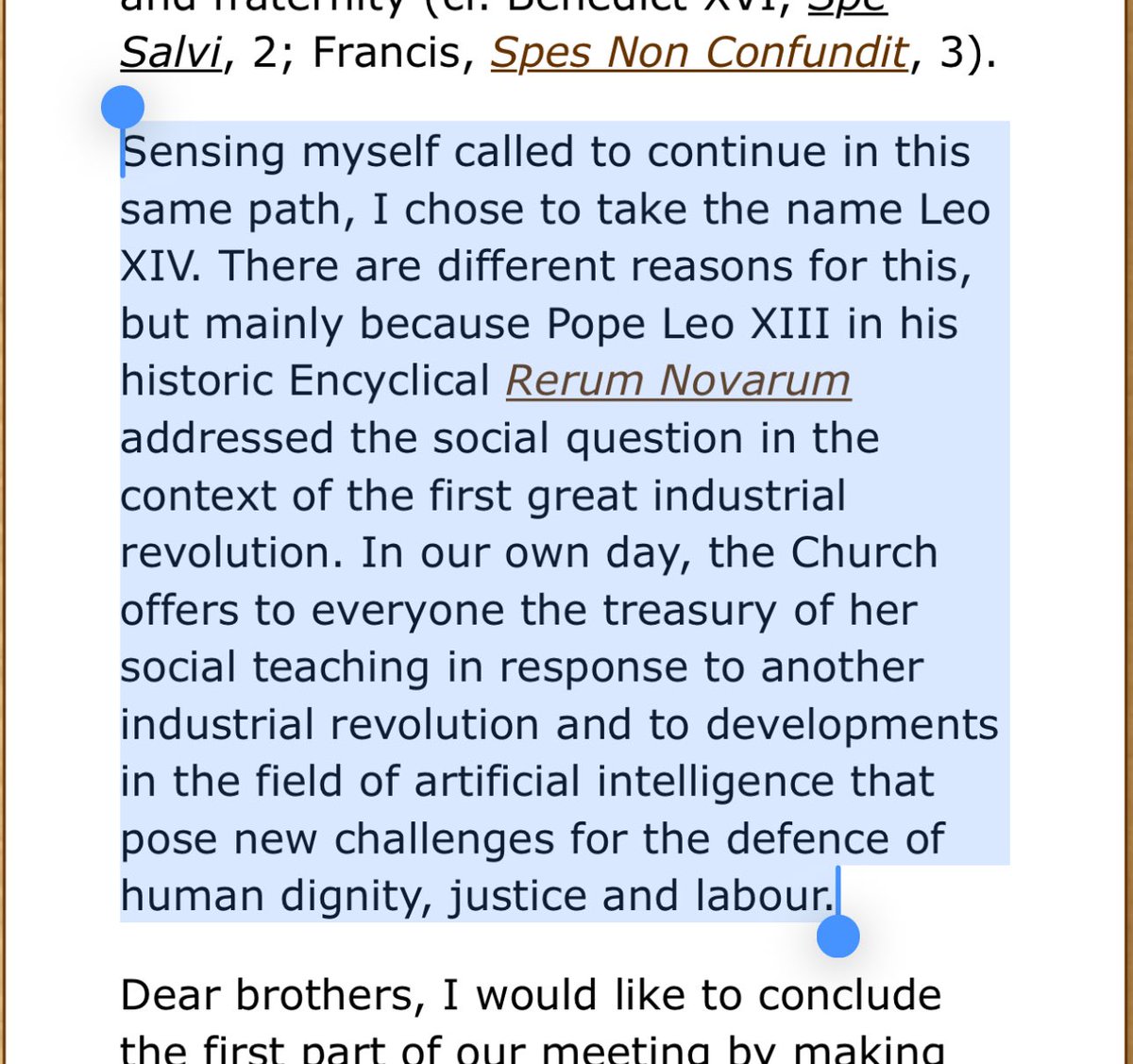 Pope Leo Honors the Legacy of Pope Francis One Year After His Passing