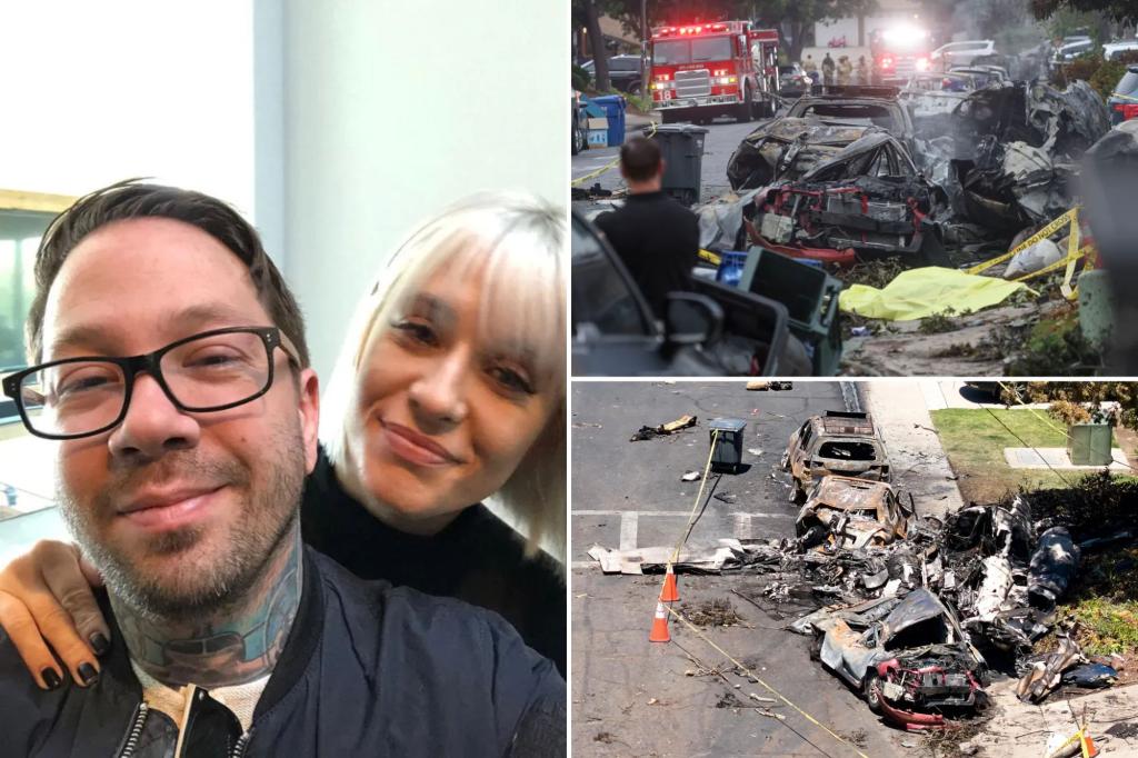 San Diego Plane Crash Kills Music Agent Dave Shapiro, 42, and Former ...