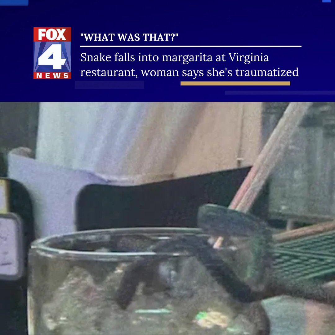 Snake Falls Into Woman’s Margarita at Mexican Restaurant in Henrico