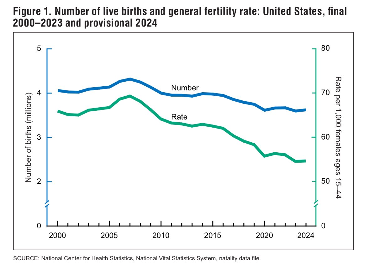 U.S. Birth Rate Hits Record Low of 54.5 per 1,000 Women in 2023 Despite