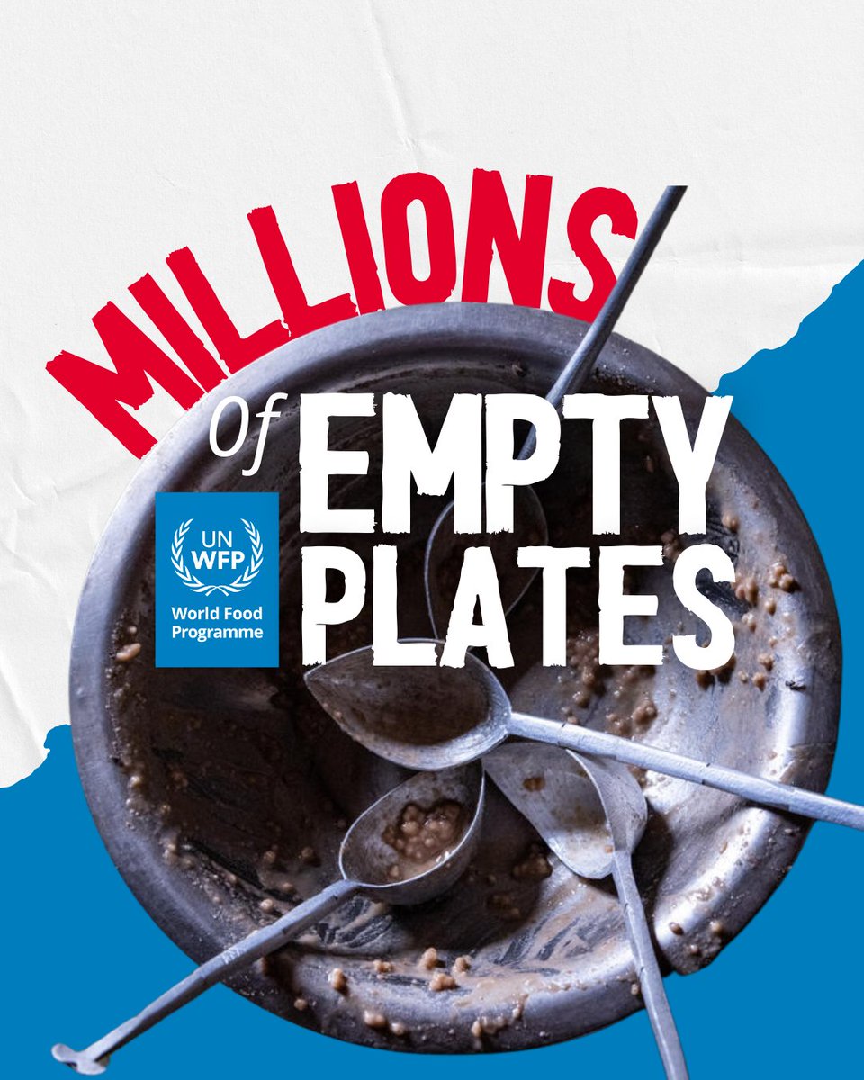 UN Report: Acute Food Insecurity Hits 295 Million in 2024, Nearly 38 ...