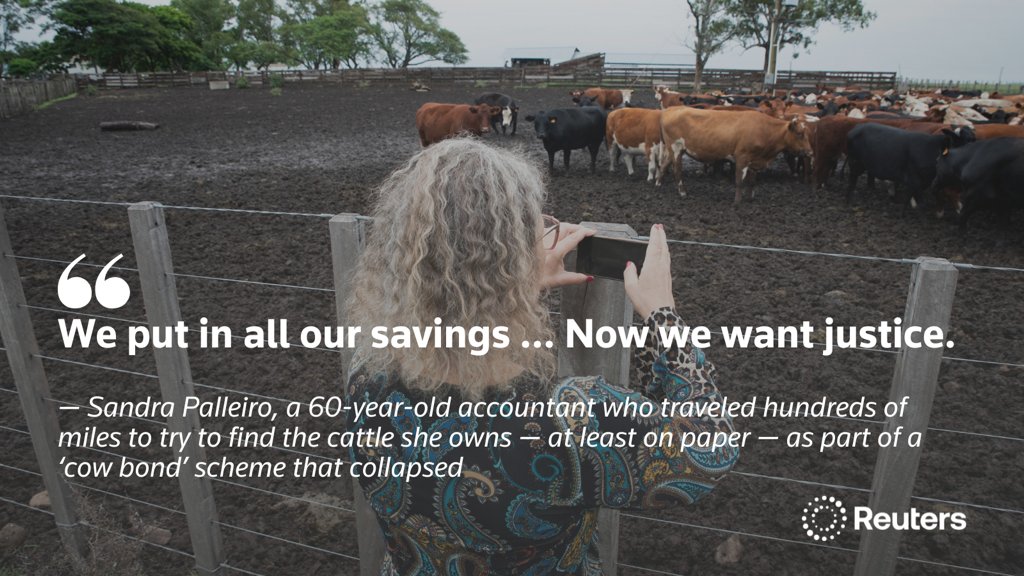 Uruguay Cow-Bond Scheme Collapse Causes $350 Million Losses, Missing ...