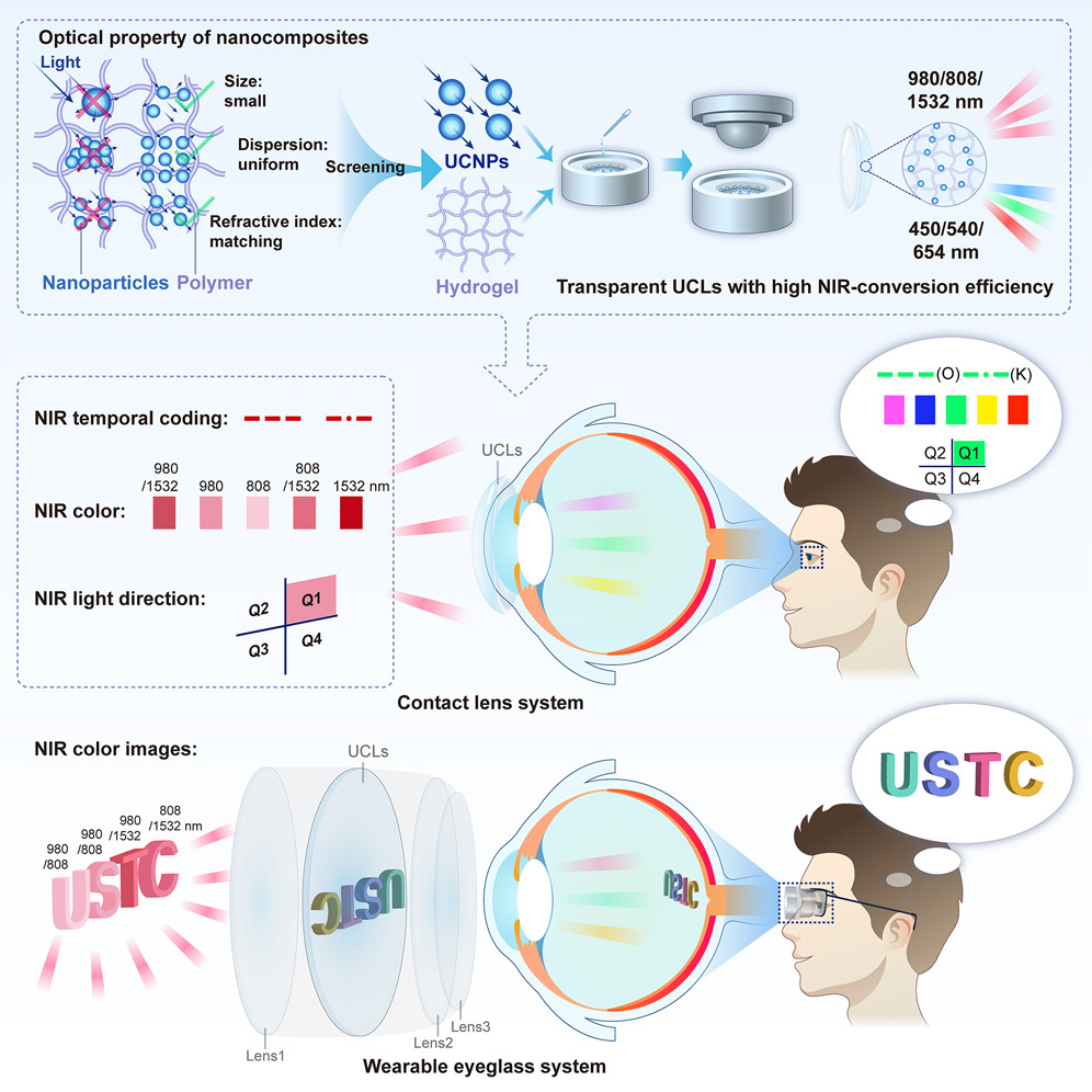 Develop Contacts USTC Researchers Develop Nanomaterial-Based Infrared Contact Lenses ...